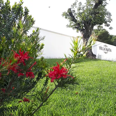 Villa Natia-3